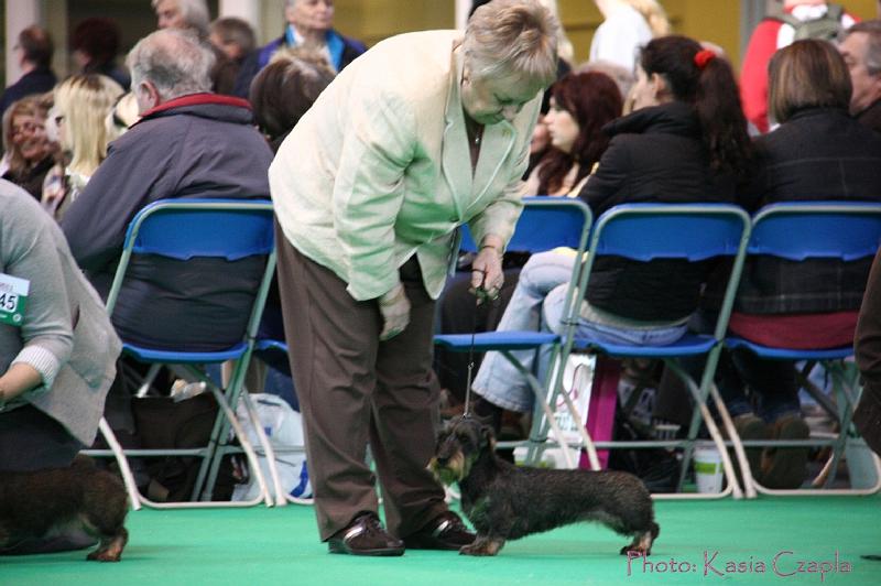 Crufts2011_2 1291.jpg